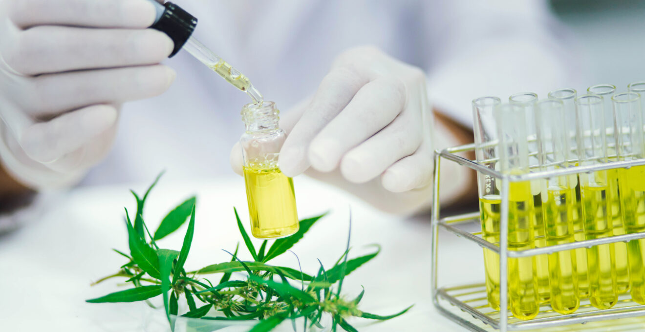 Extraction du CBD