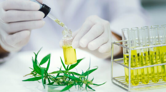 Extraction du CBD
